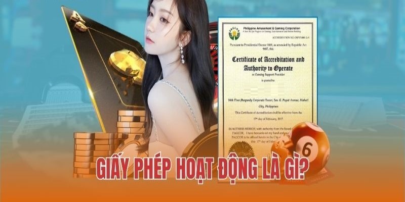 Giấy tờ hoạt động hợp pháp và thông tin giới thiệu 