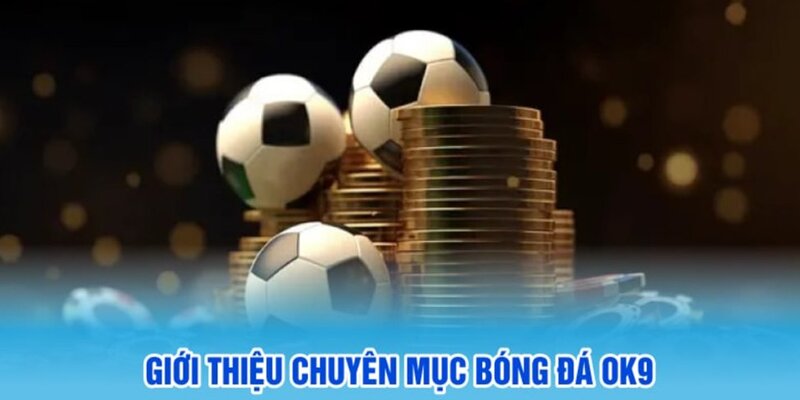 Sảnh cược đã có hơn 7 năm hình thành phát triển